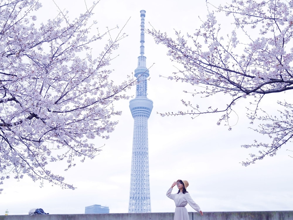 숙박 시설에서 보는 시내 전망