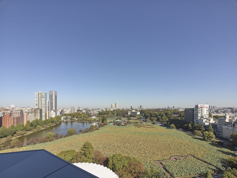 숙박 시설의 전망