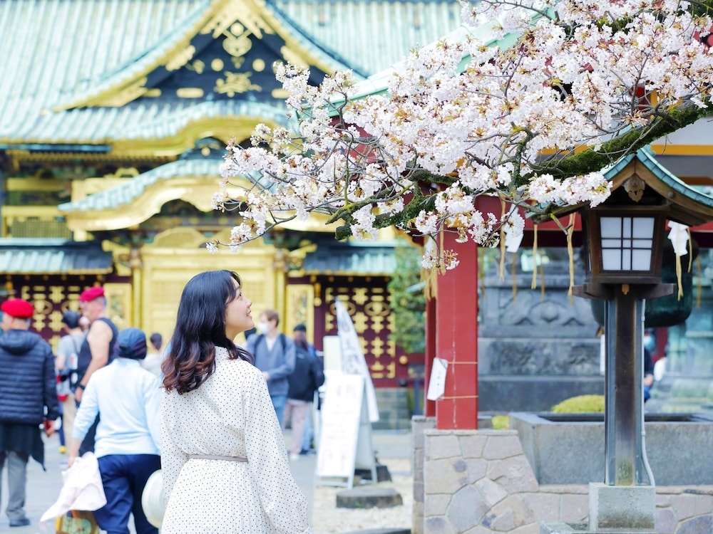 숙박 시설에서 보는 시내 전망