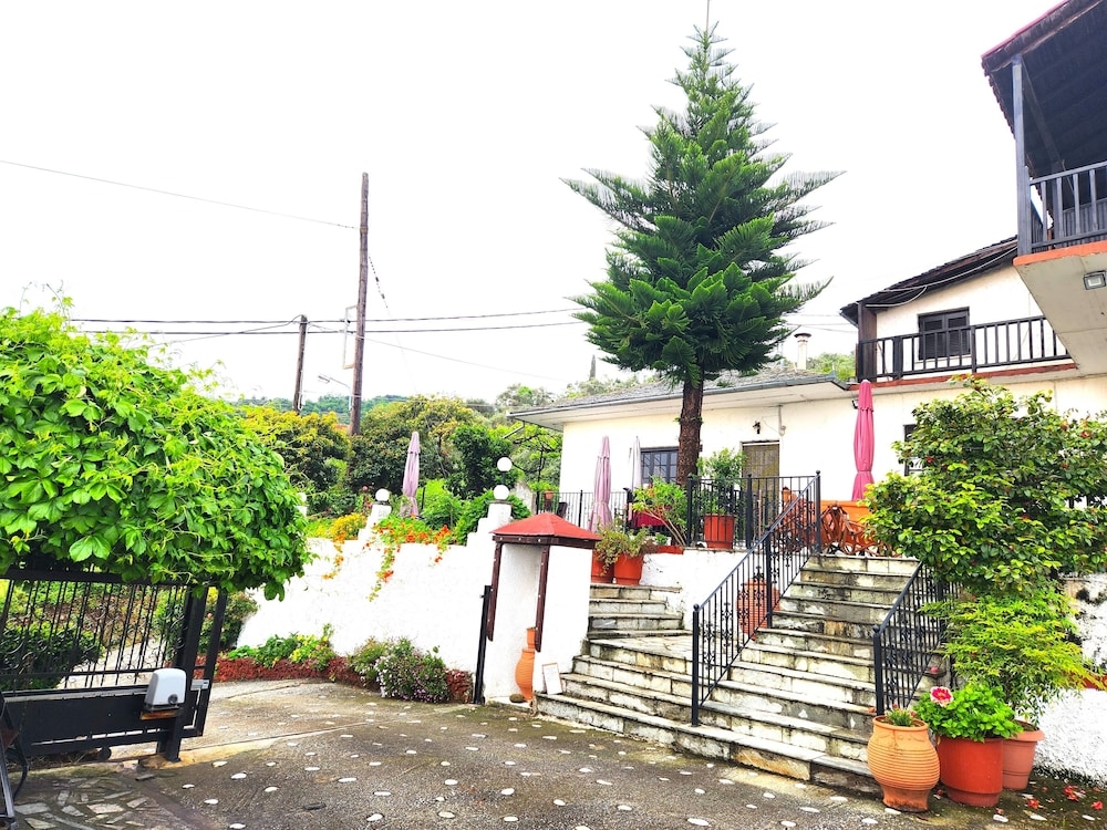 외부 세부 사진