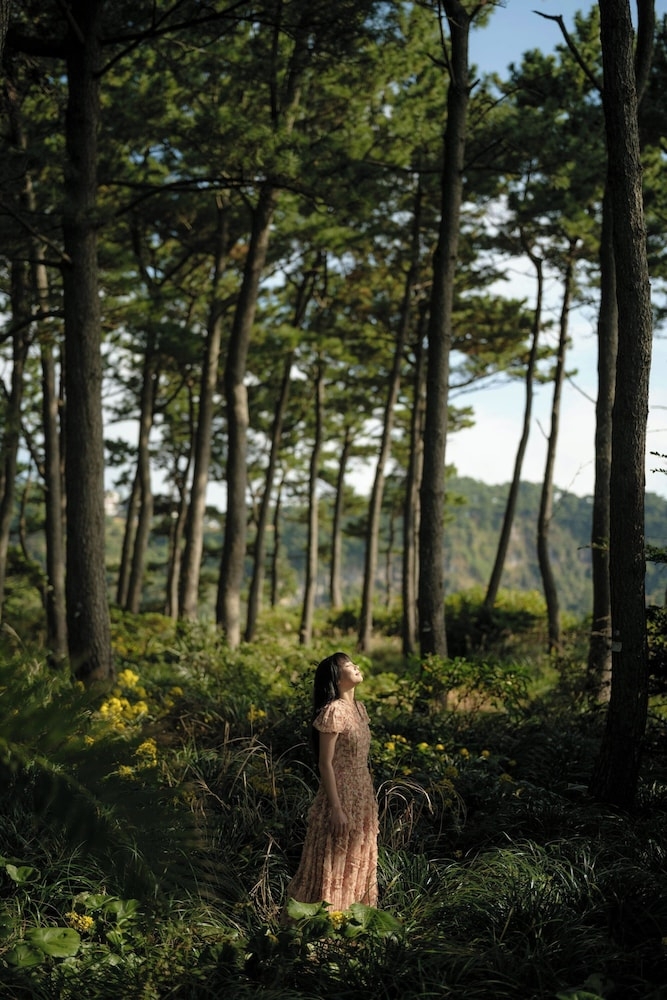 숙박 시설 내 편의 시설/서비스
