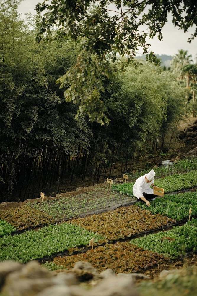 숙박 시설 내 편의 시설/서비스