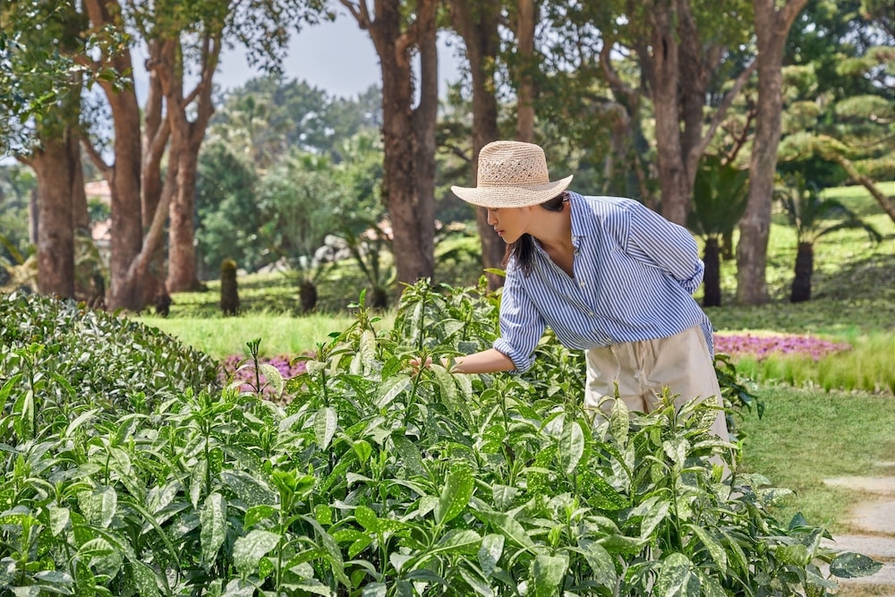 숙박 시설 내 편의 시설/서비스
