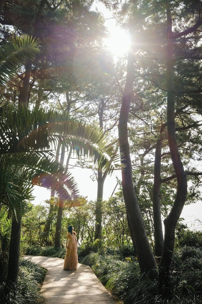 숙박 시설 내 편의 시설/서비스