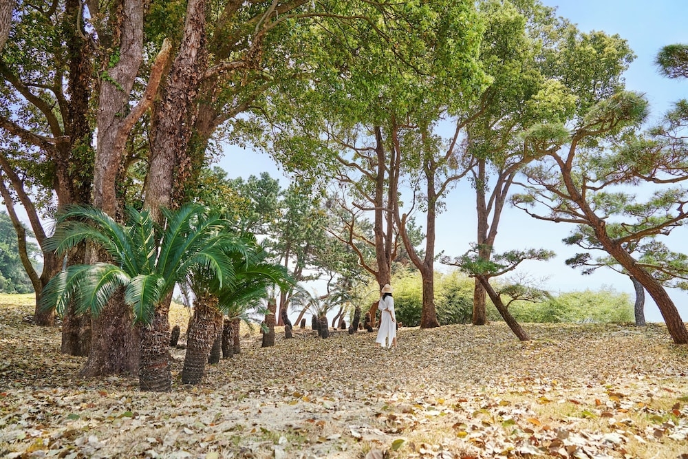 숙박 시설 내 편의 시설/서비스