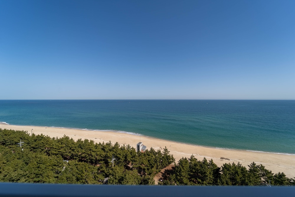 객실에서 보이는 전망