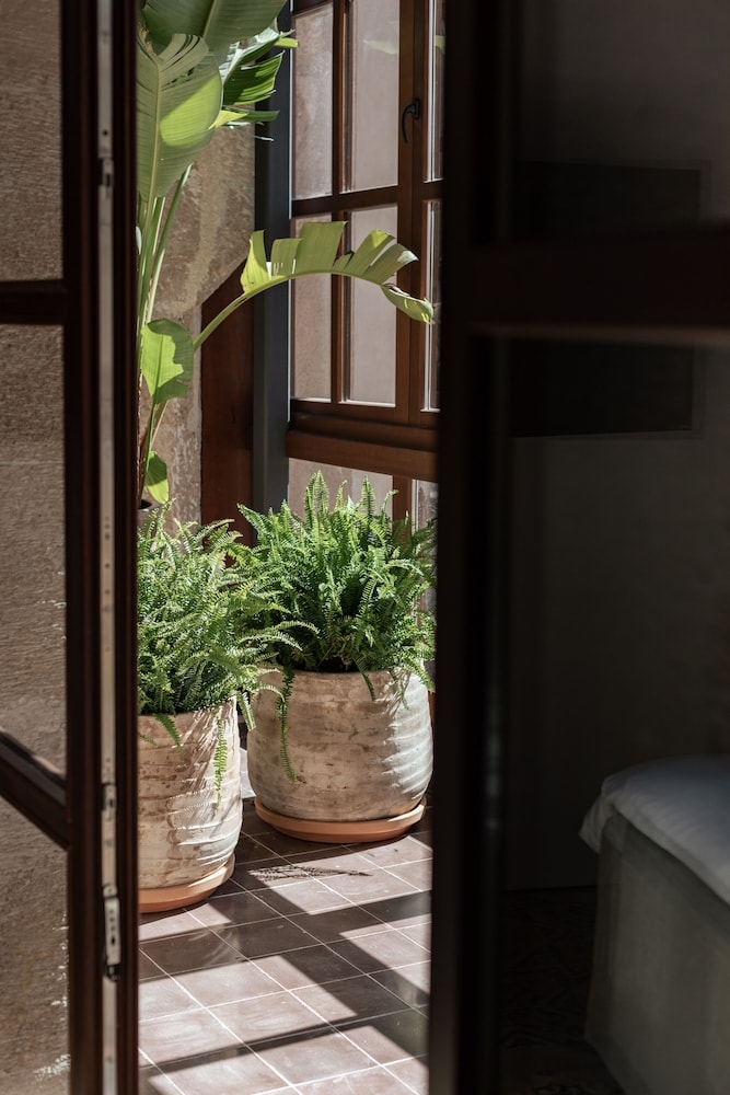 객실에서 보이는 전망