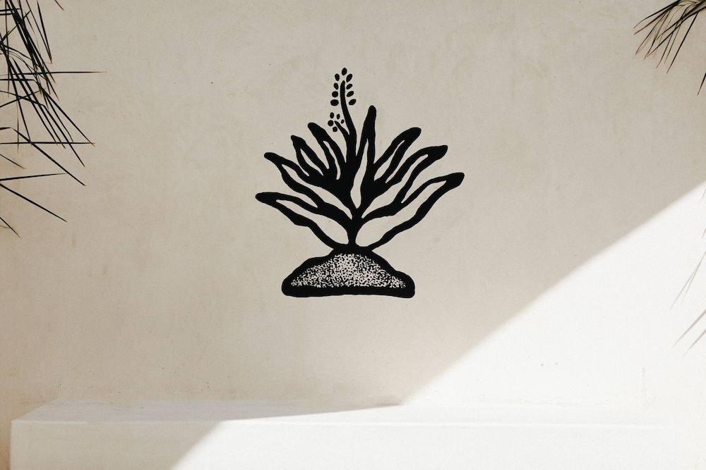 외부 세부 사진