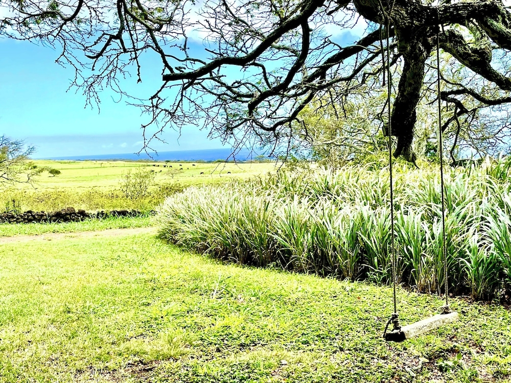 해변/바다 전망