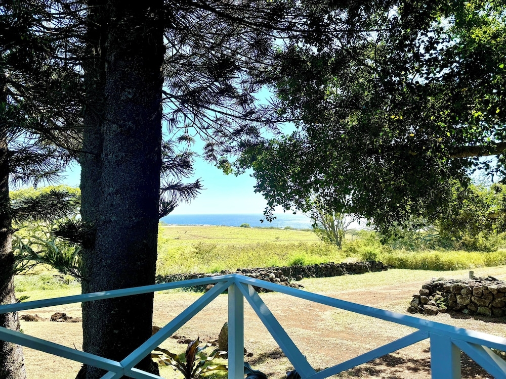 객실에서 보이는 전망