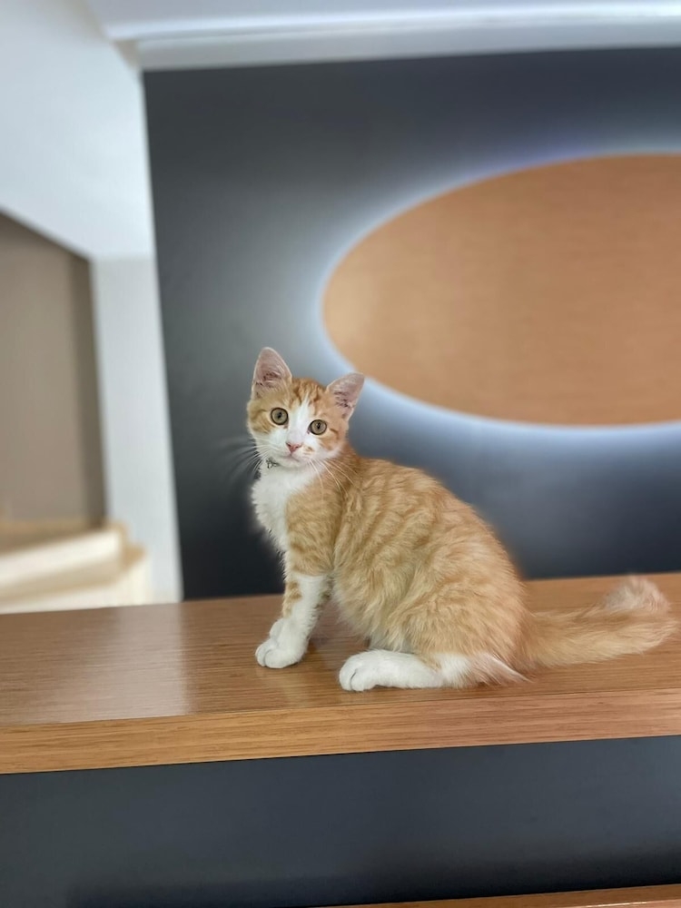 숙박 시설 정면