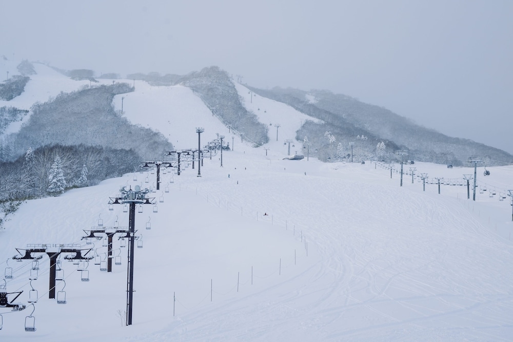 객실에서 보이는 전망