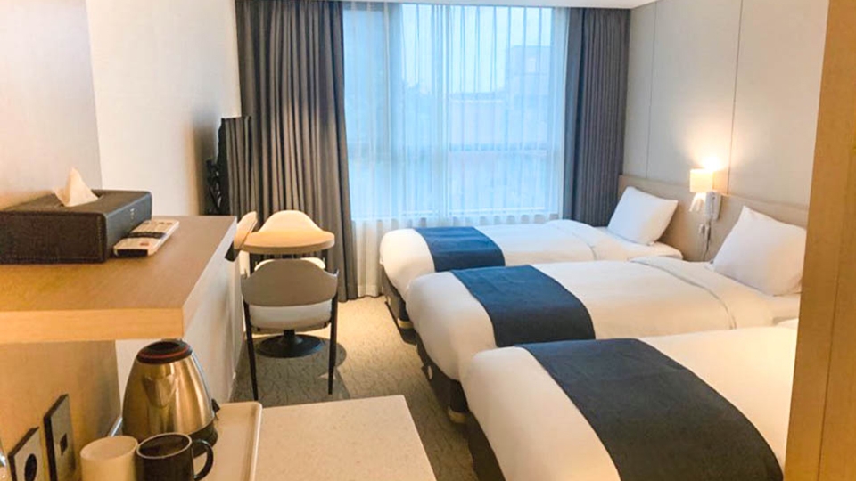 스탠다드 트리플