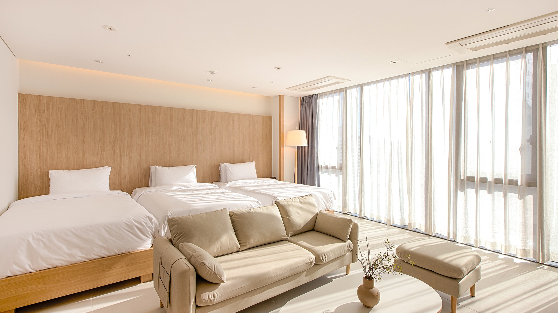 주니어 웰니스 스위트