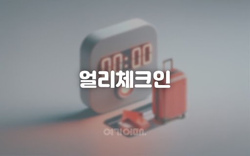얼리체크인(13시)