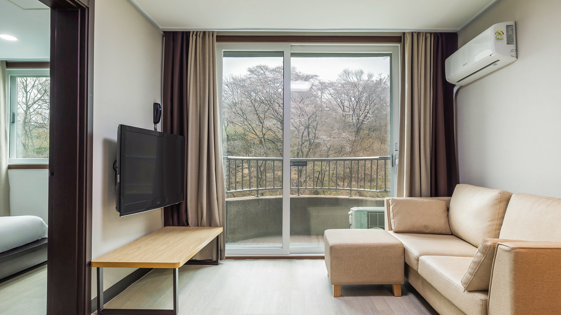 프리미어 플러스