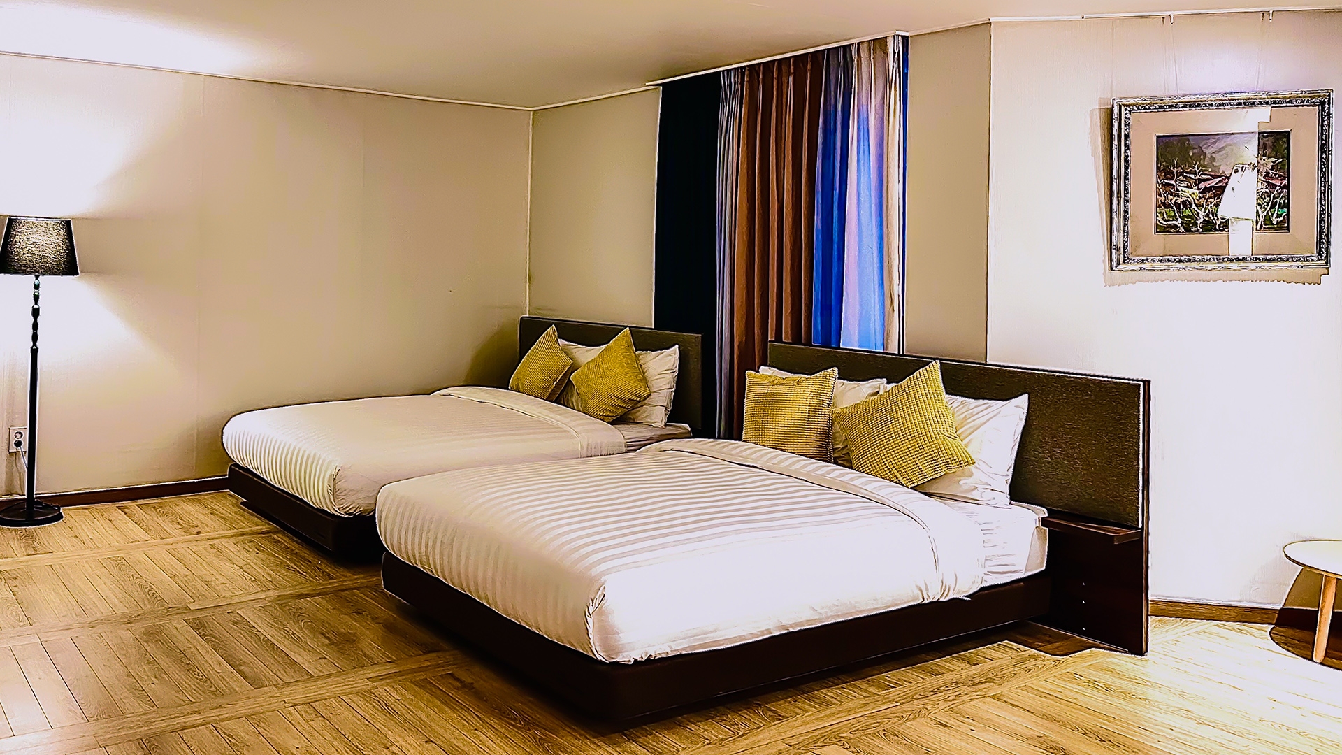 디럭스 패밀리 (일반전망)