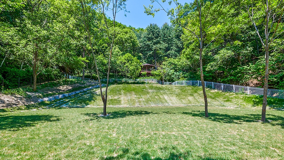 힐리펫 그라운드