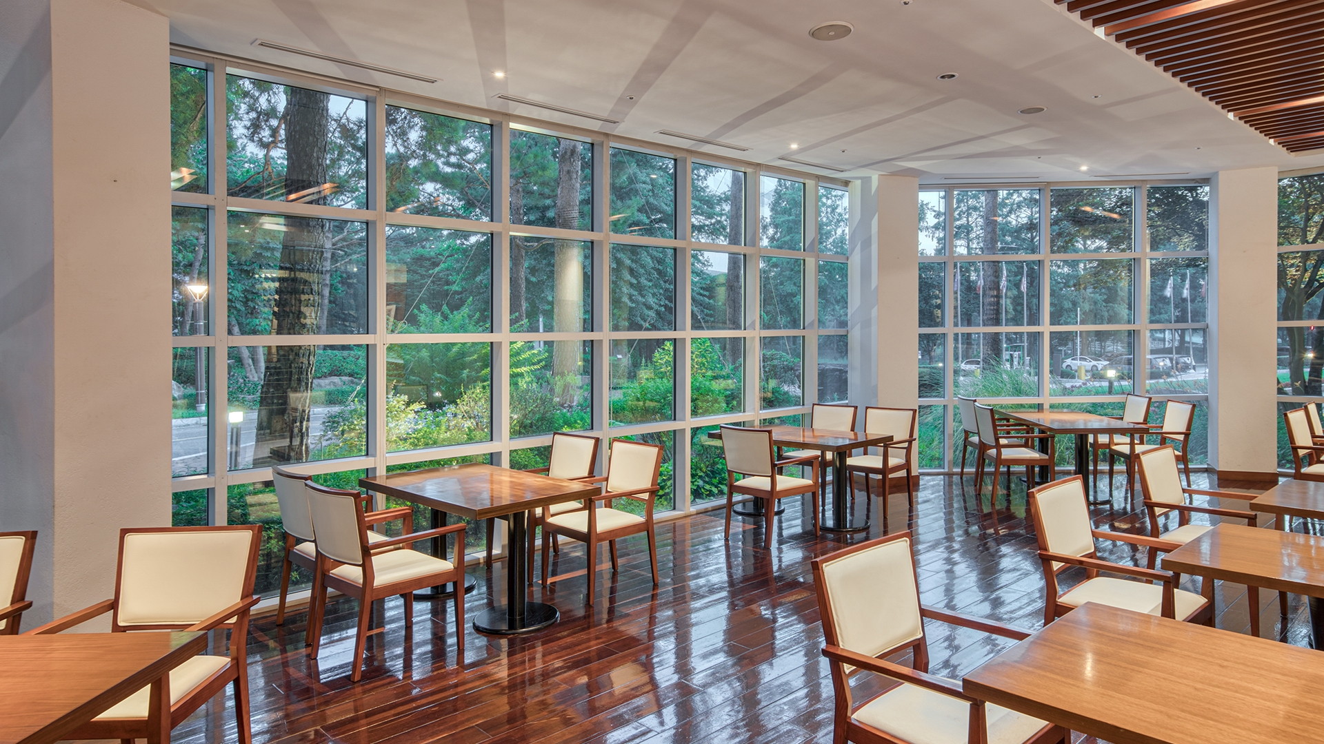 레스토랑-라페스타