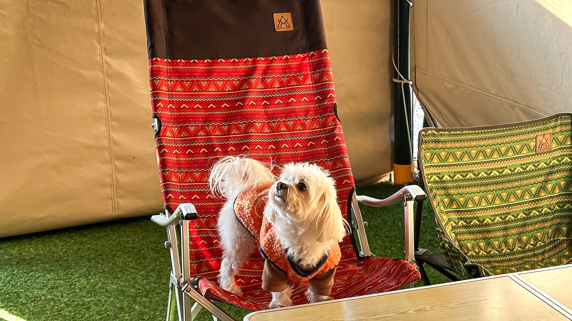 애견동반글램핑(개별운동장)