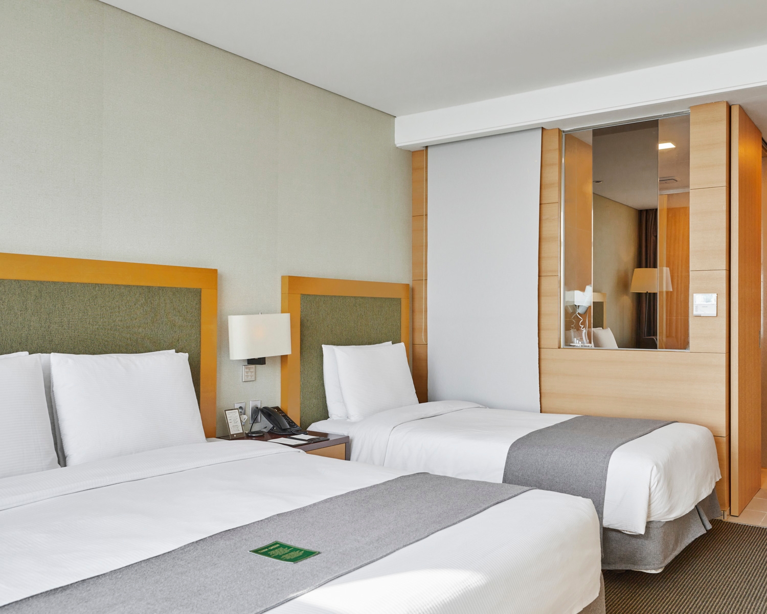 디럭스 패밀리 트윈