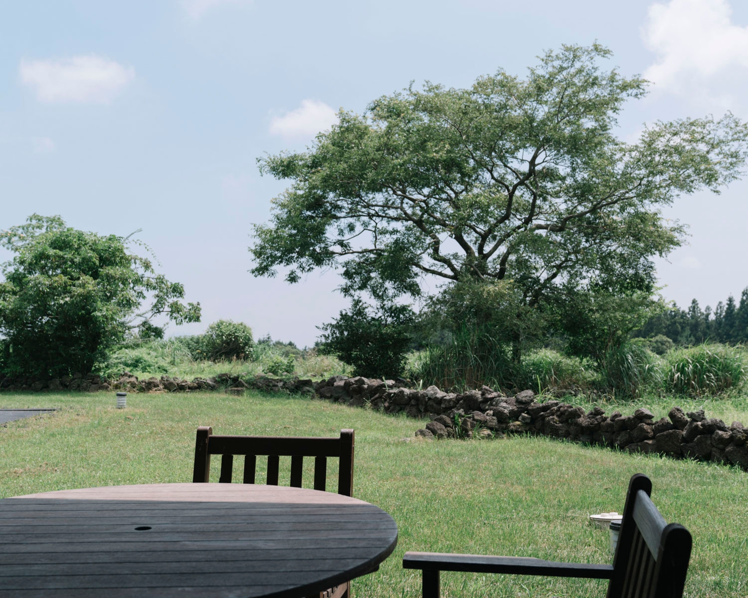 로얄스위트 양실