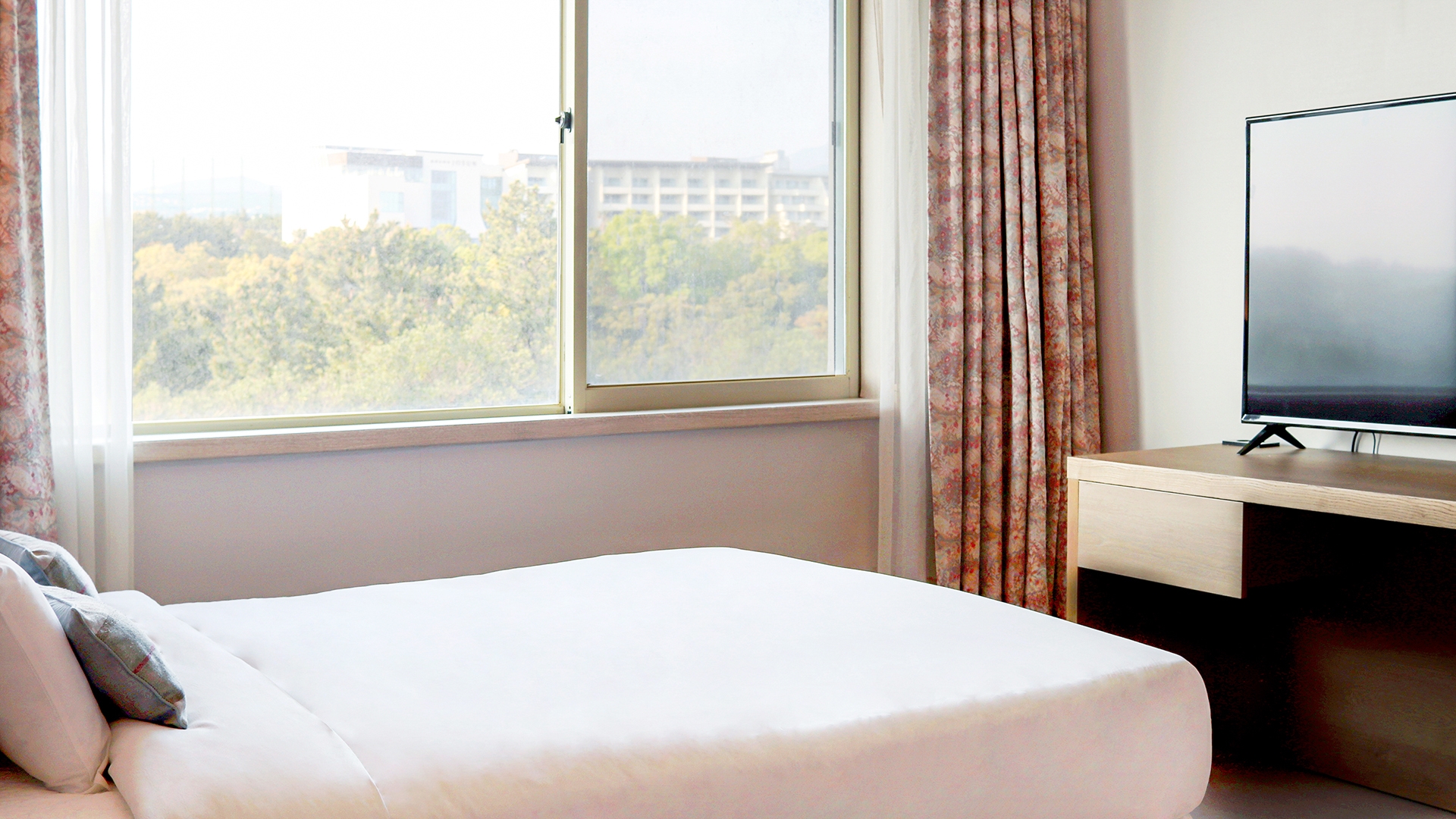 패밀리 트리플룸