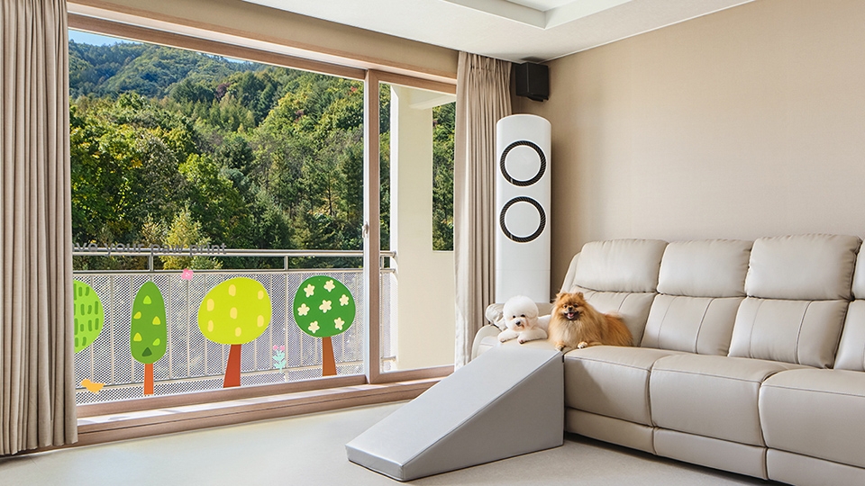 로얄스위트 멍패커 시네마