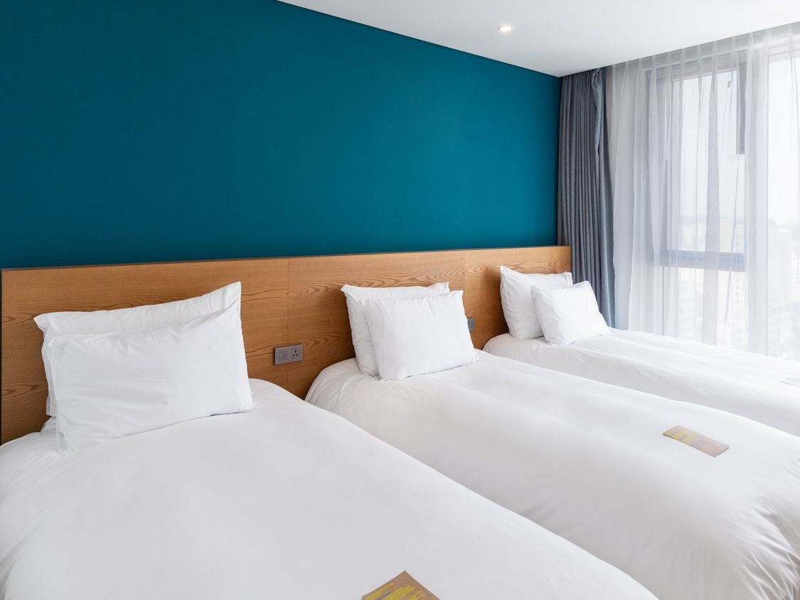 스탠다드 트리플