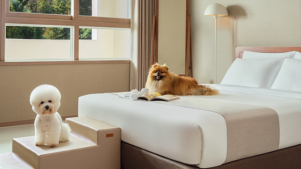 프레지덴셜 스위트 멍패커 시네마