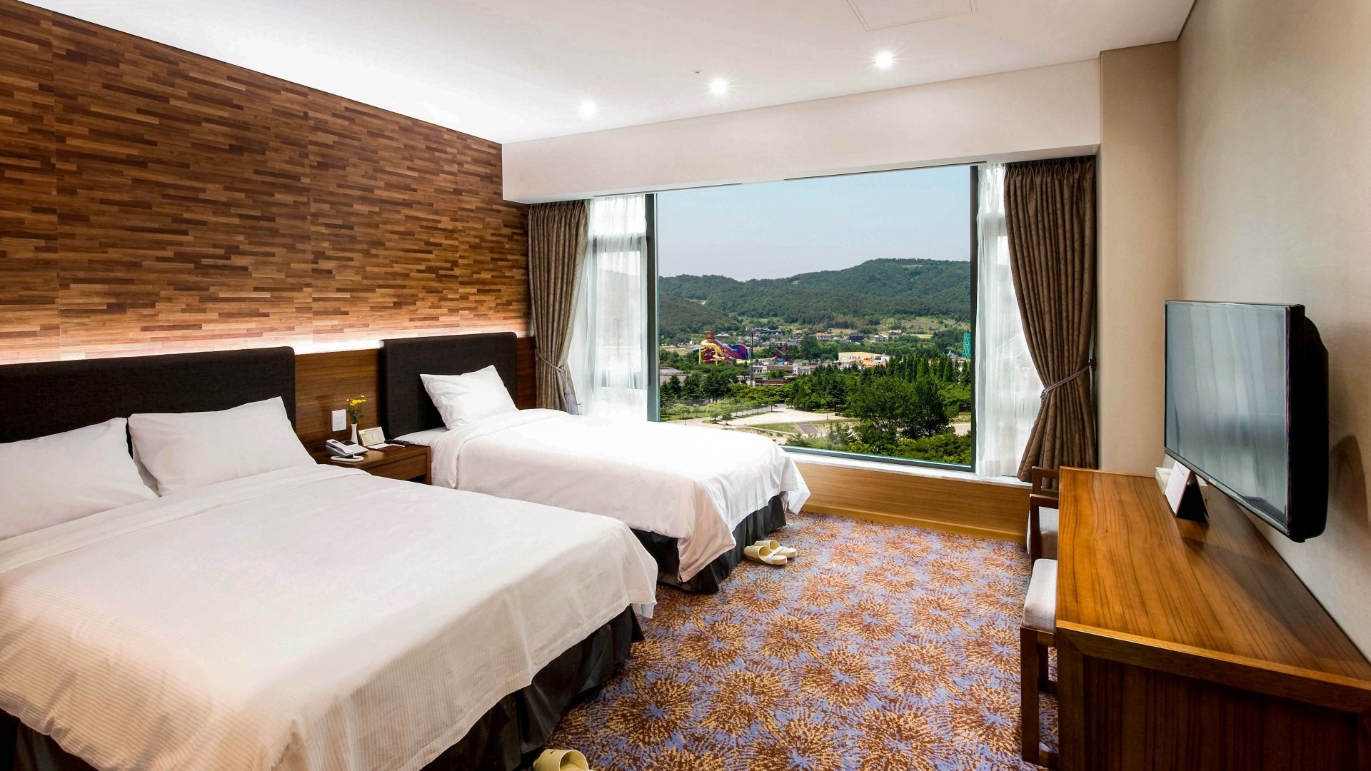 스카이 디럭스 트윈