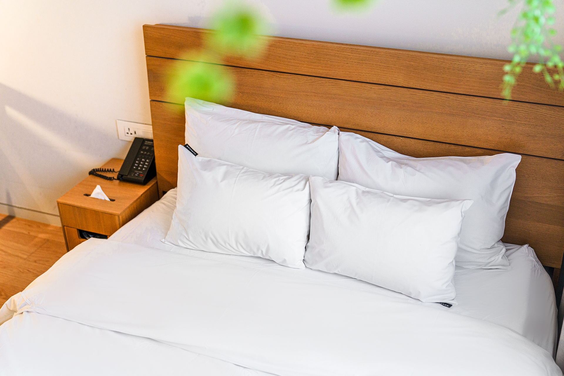 본관春) 스탠다드 더블