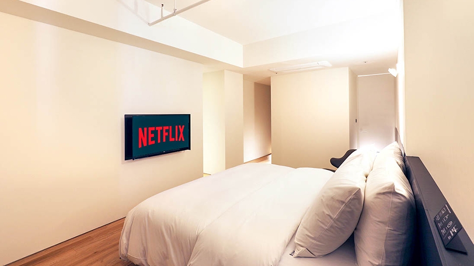 듀플렉스 (넷플릭스/미러링 이용가능)