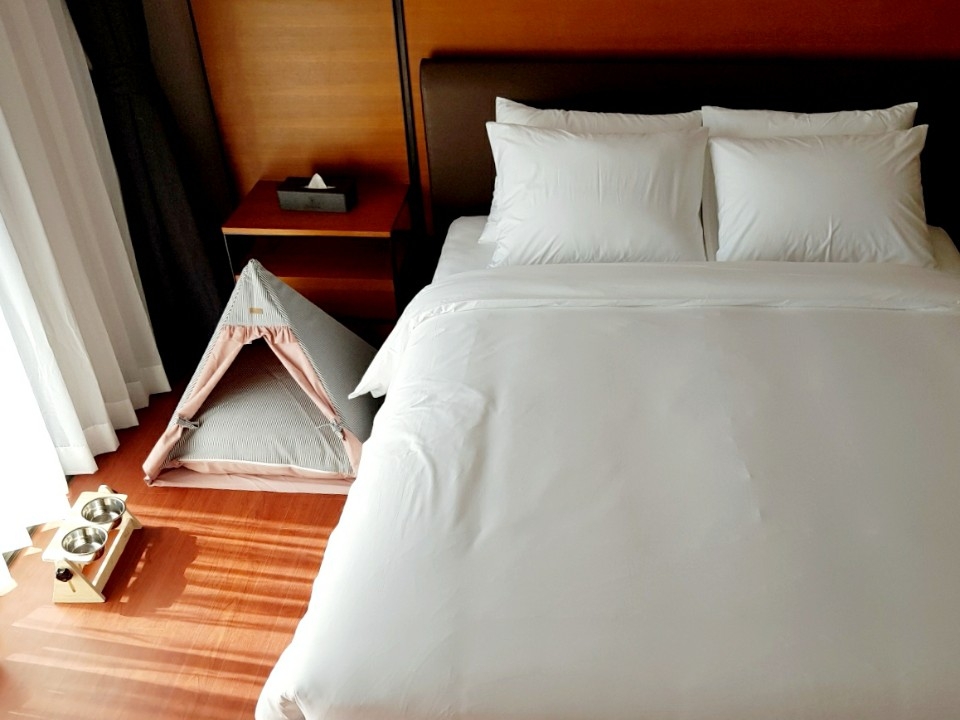 펫 스위트 B 타입 