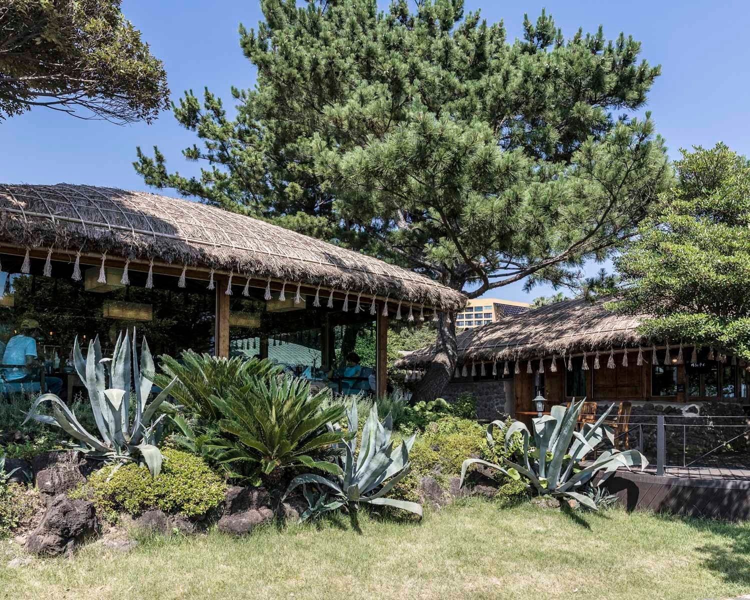 카노푸스