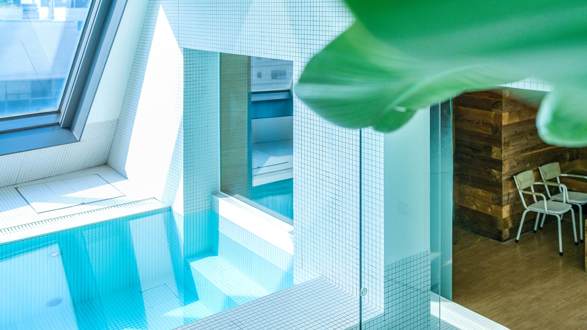 스파앤풀 팬트하우스