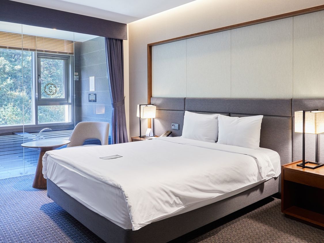 주니어 풀 스위트 더블 마운틴뷰