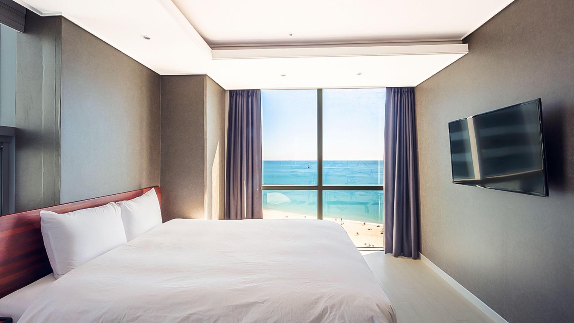 오션 스탠다드더블