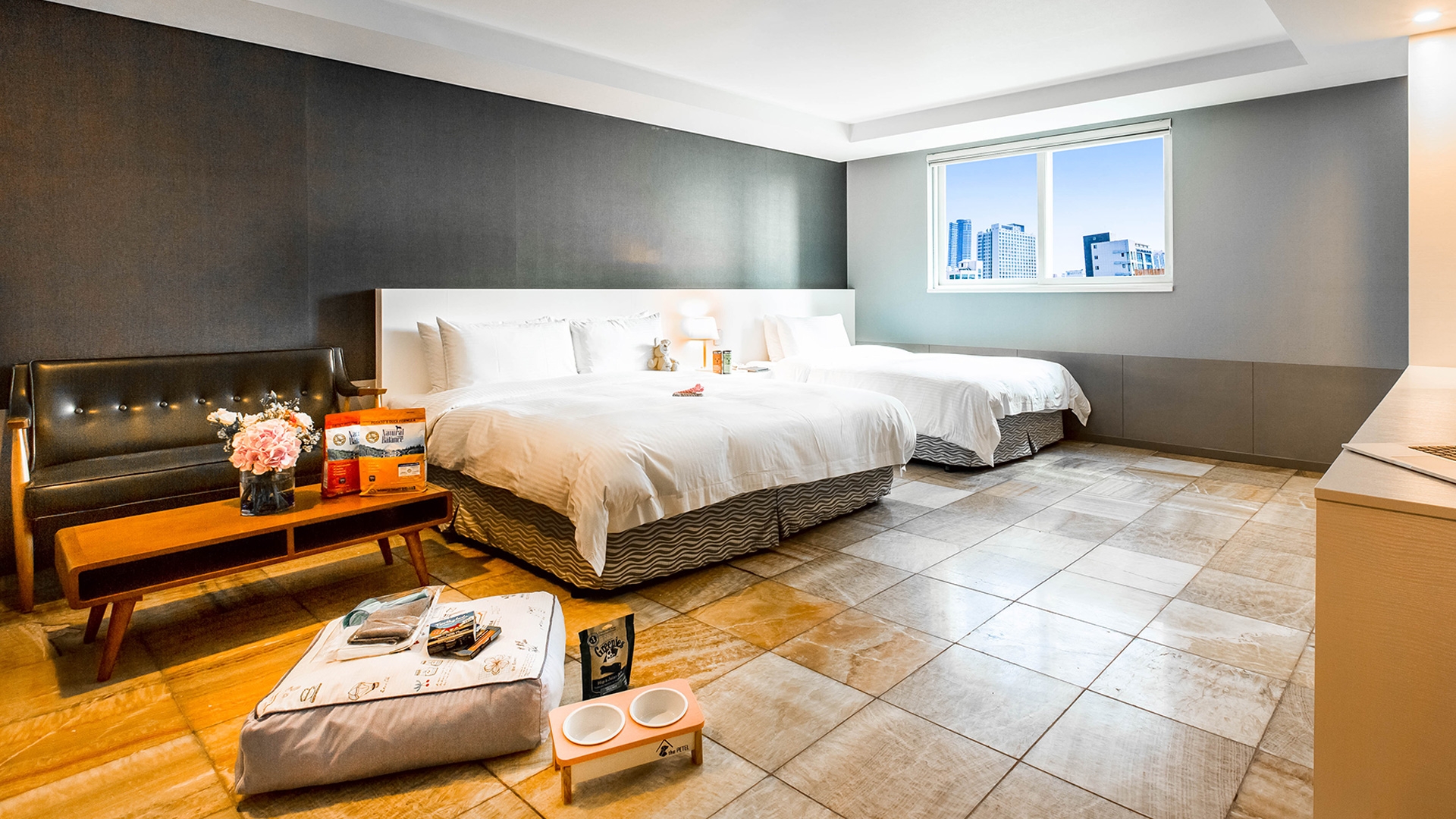 펫 스위트 패밀리