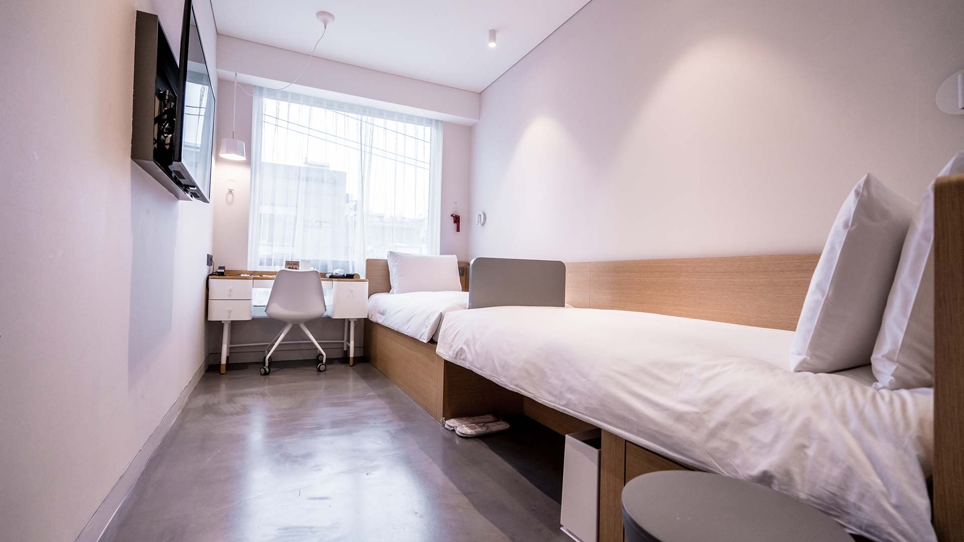 스탠다드 트윈 (랜덤배정)