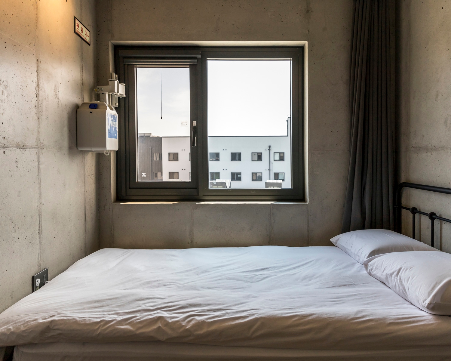 스탠다드