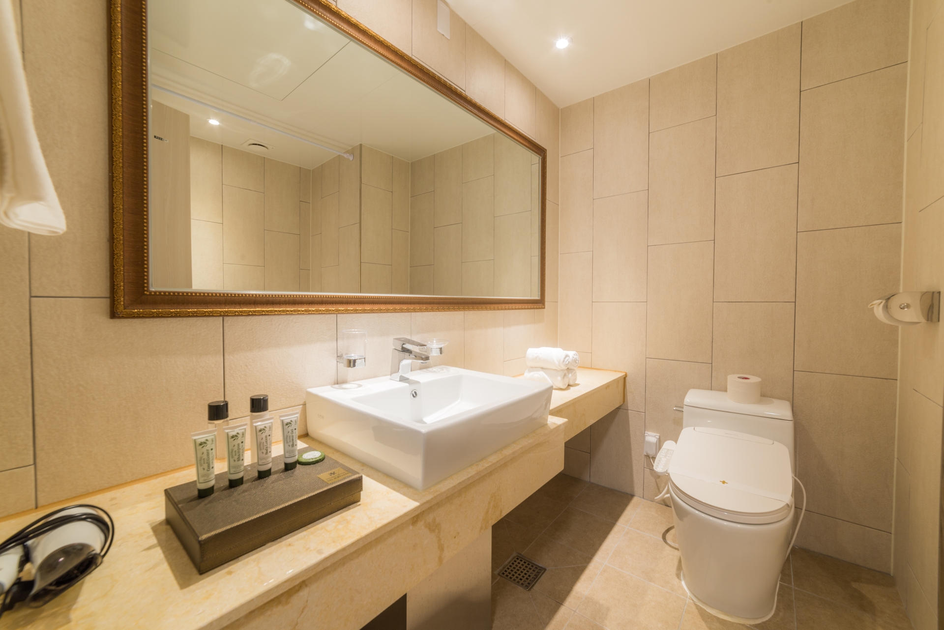 NEW 더블 / NEW 트윈 / New Fusion Family