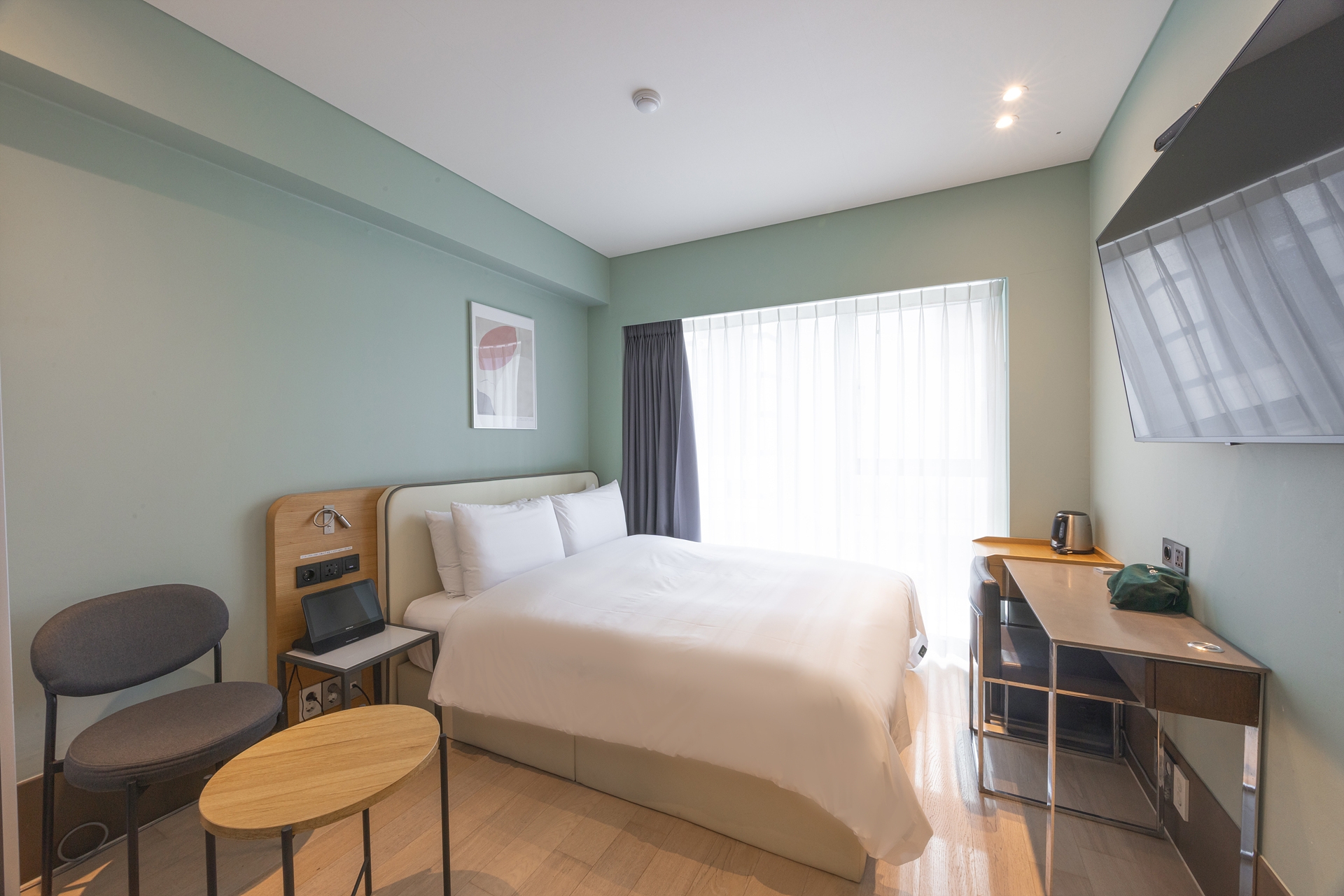 스탠다드 스타일러 (스타일러/에이스침