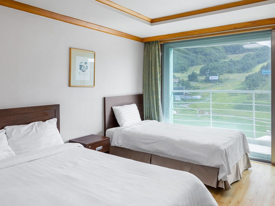 스탠다드B 트리플