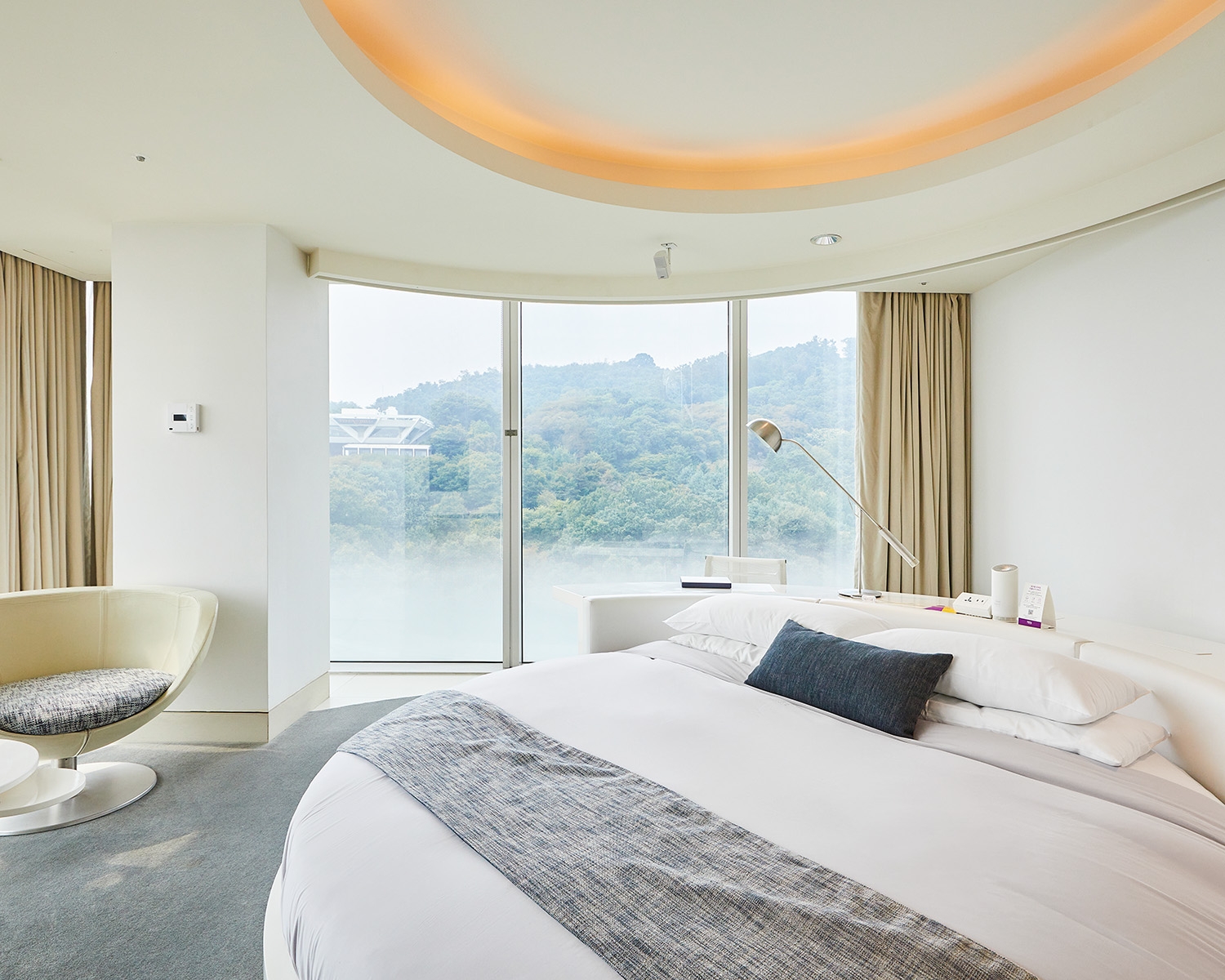 주니어 코너 스위트