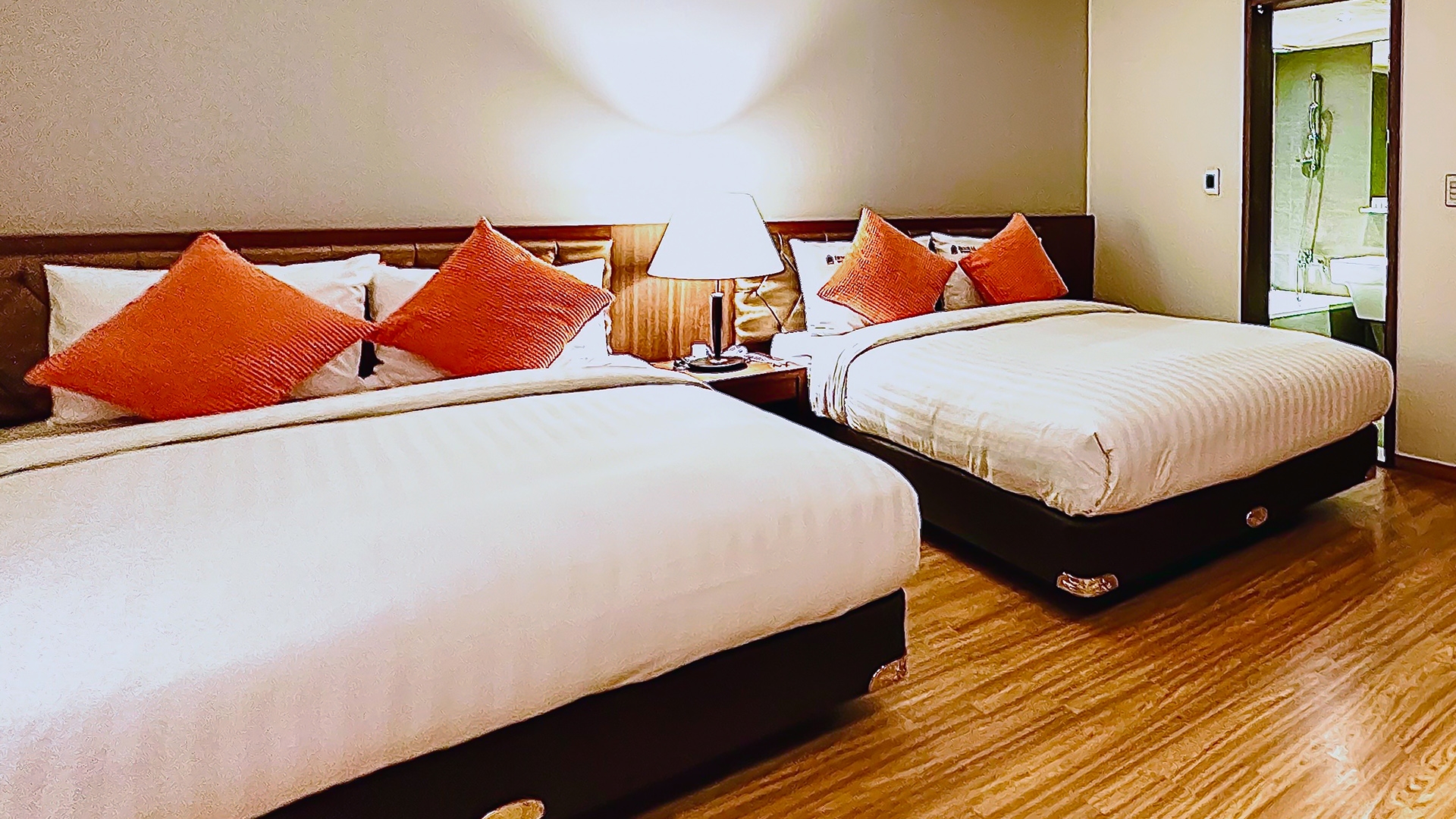 디럭스 트윈 (일반전망)