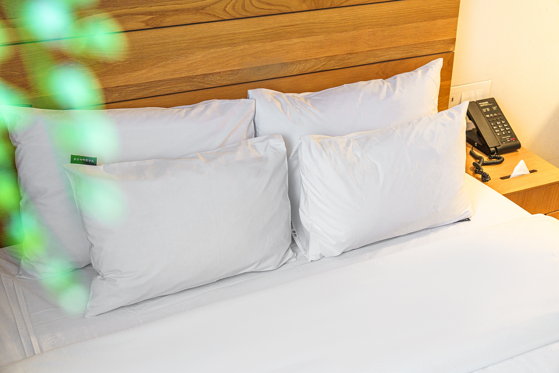 본관春) 디럭스 더블