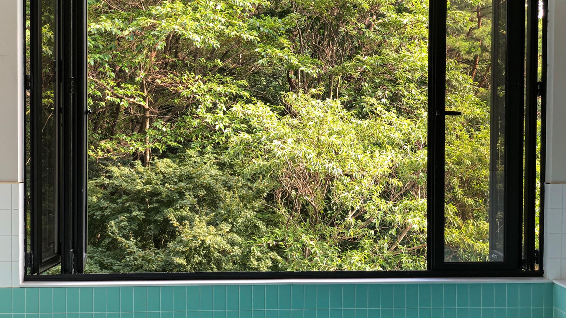 Forest 패밀리 스파룸