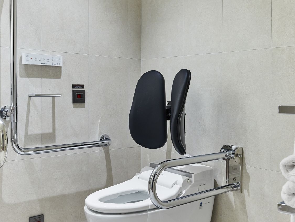 디럭스 더블 시티뷰 (핸디캡)