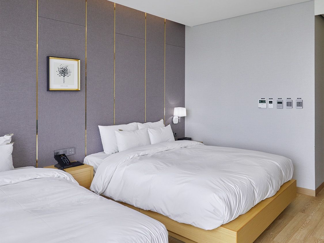 디럭스 패밀리 트윈